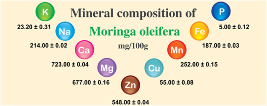 Moringa Powder Benefits